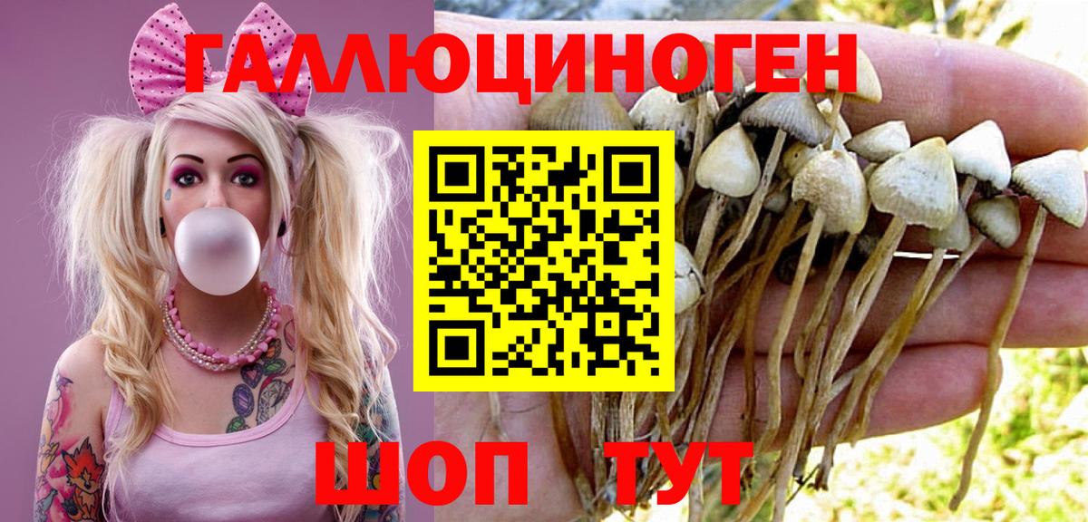 Псилоцибиновые грибы Psilocybe  Вход с VPN  закладки  Можайск 